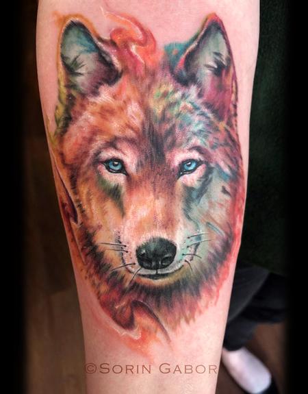 Sorin Gabor - Realistic color watercolor wolf tattoo 